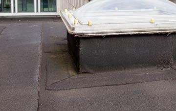 disadvantages of Craiglockhart flat roofs