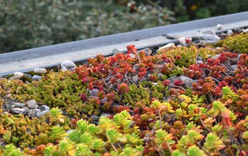 the cost of Craiglockhart green roof installation