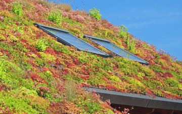 Craiglockhart living roof systems