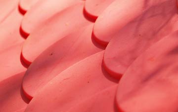 Craiglockhart plastic roof costs