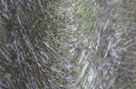 Craiglockhart fibreglass roof work